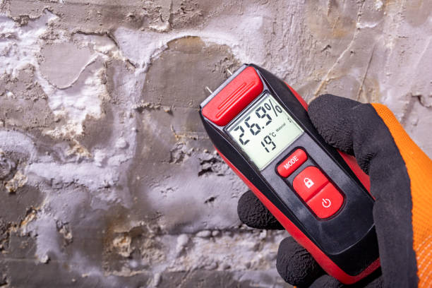 Best Commercial Mold Remediation in Marietta, OK