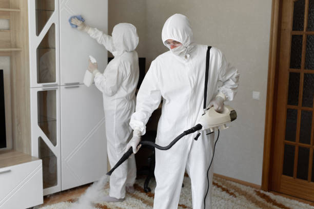 Best DIY Mold Remediation Support Services in Marietta, OK
