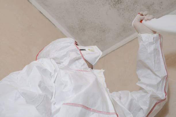Best Mold Remediation for Schools in Marietta, OK